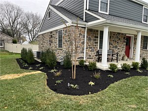 Photo 37